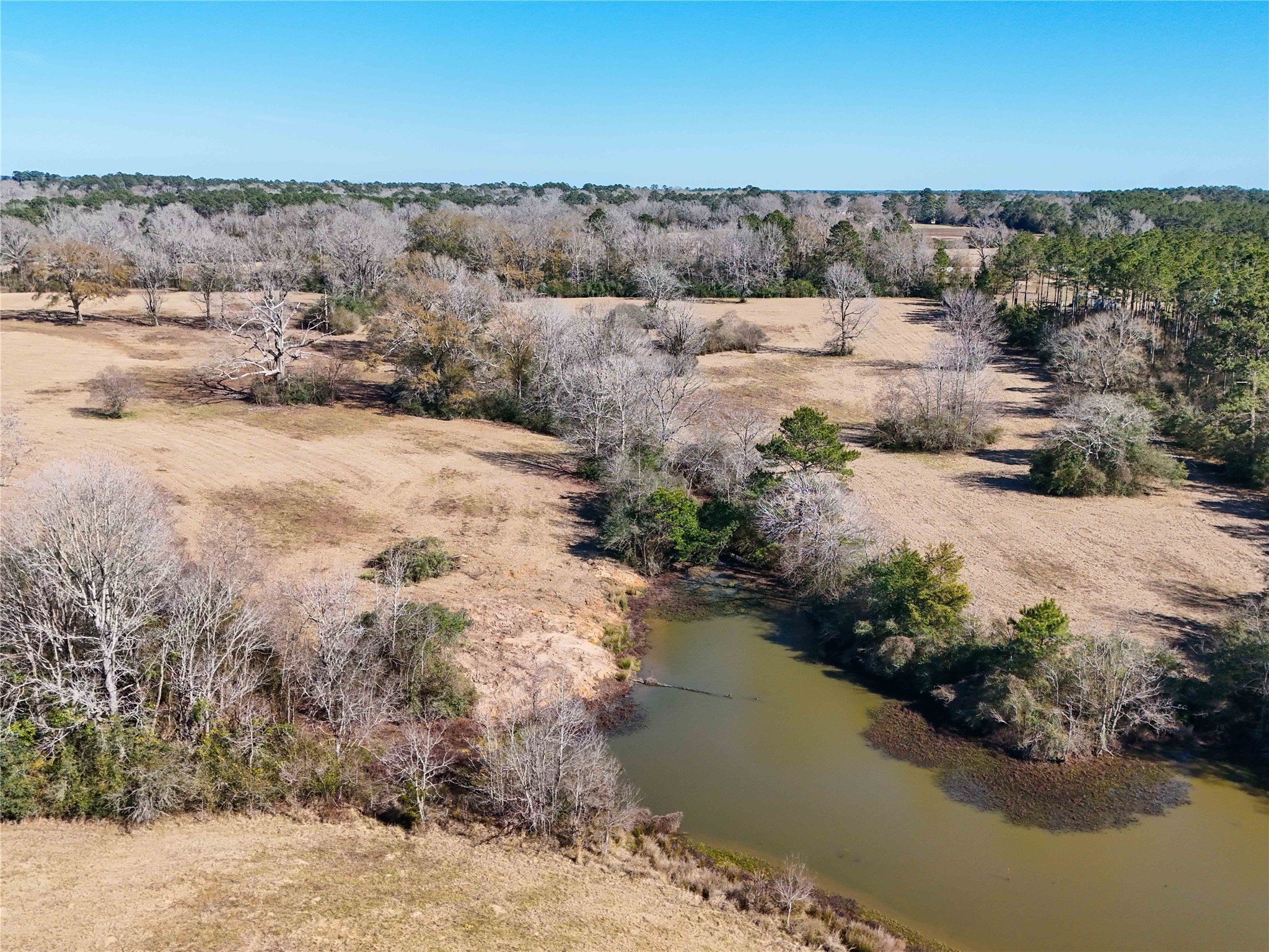 4 County Road 2780 Colmesneil, TX 75938 - Photo 32 of 50 a view of lake view and mountain
