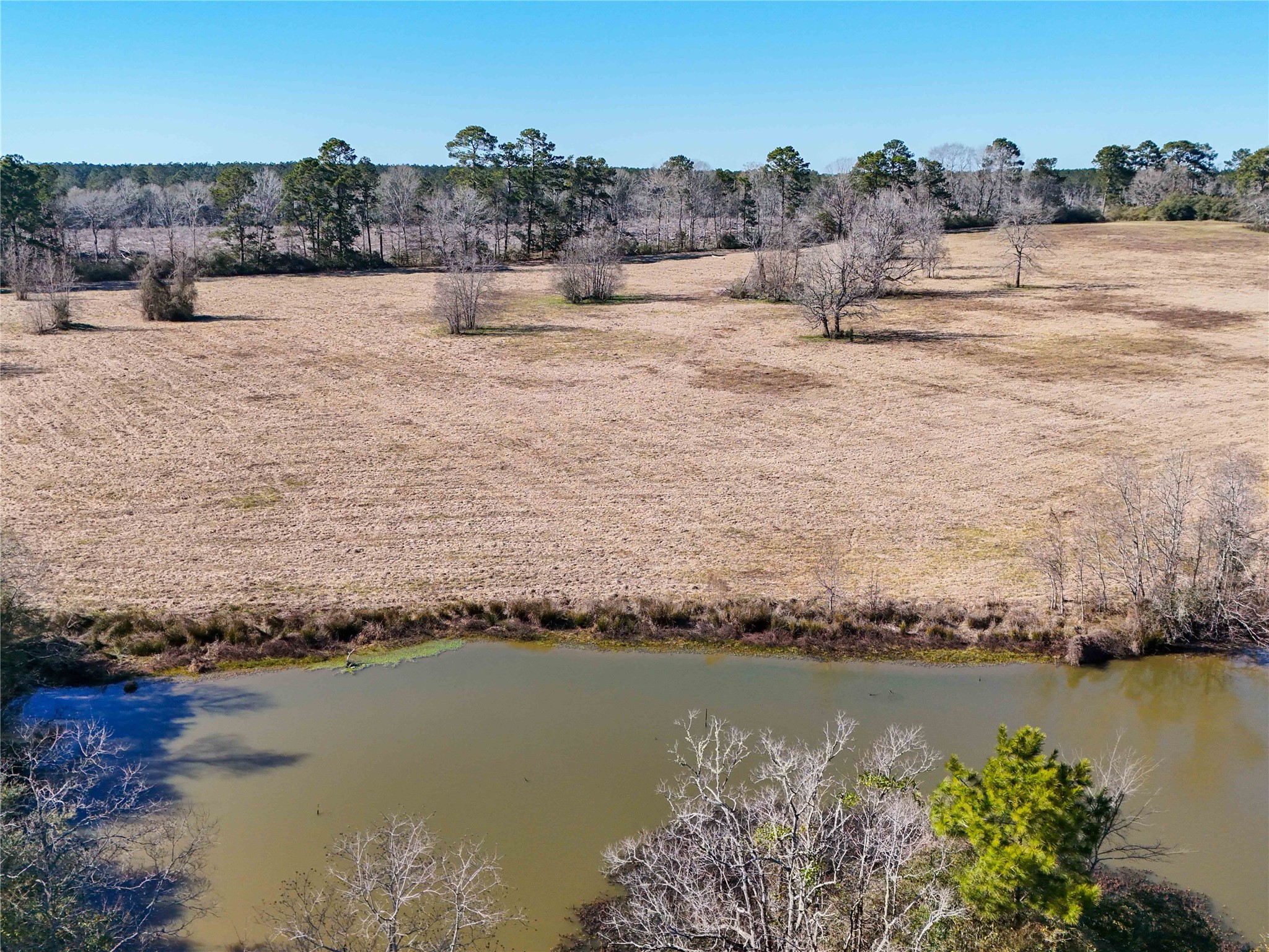 4 County Road 2780 Colmesneil, TX 75938 - Photo 34 of 50 a view of lake and mountain