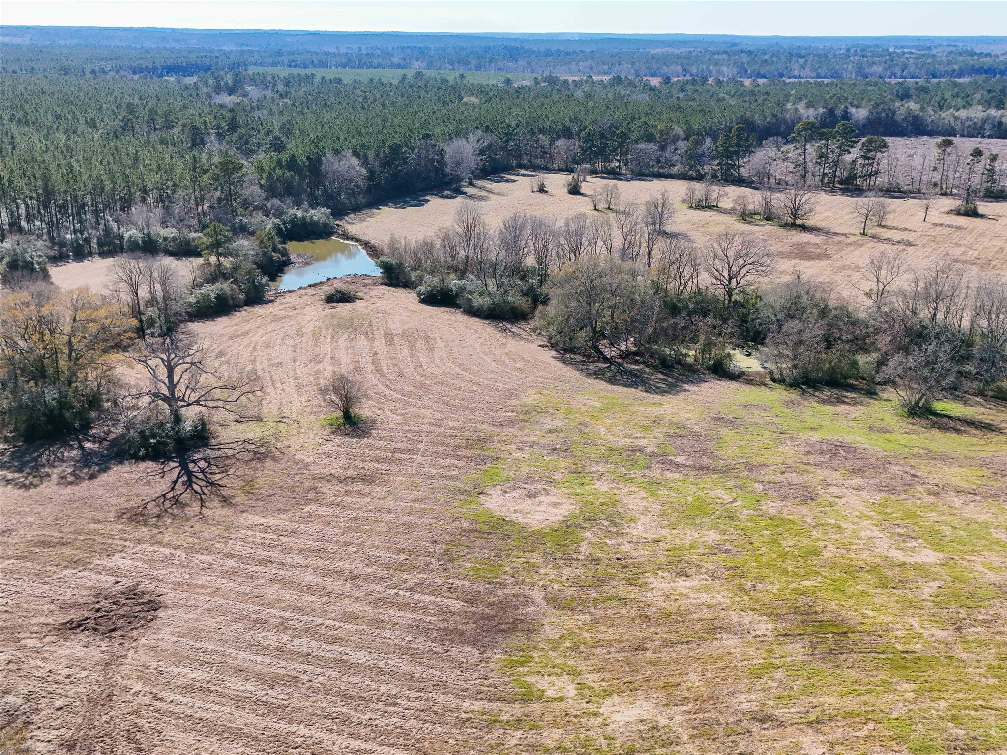 4 County Road 2780 Colmesneil, TX 75938 - Photo 38 of 50
