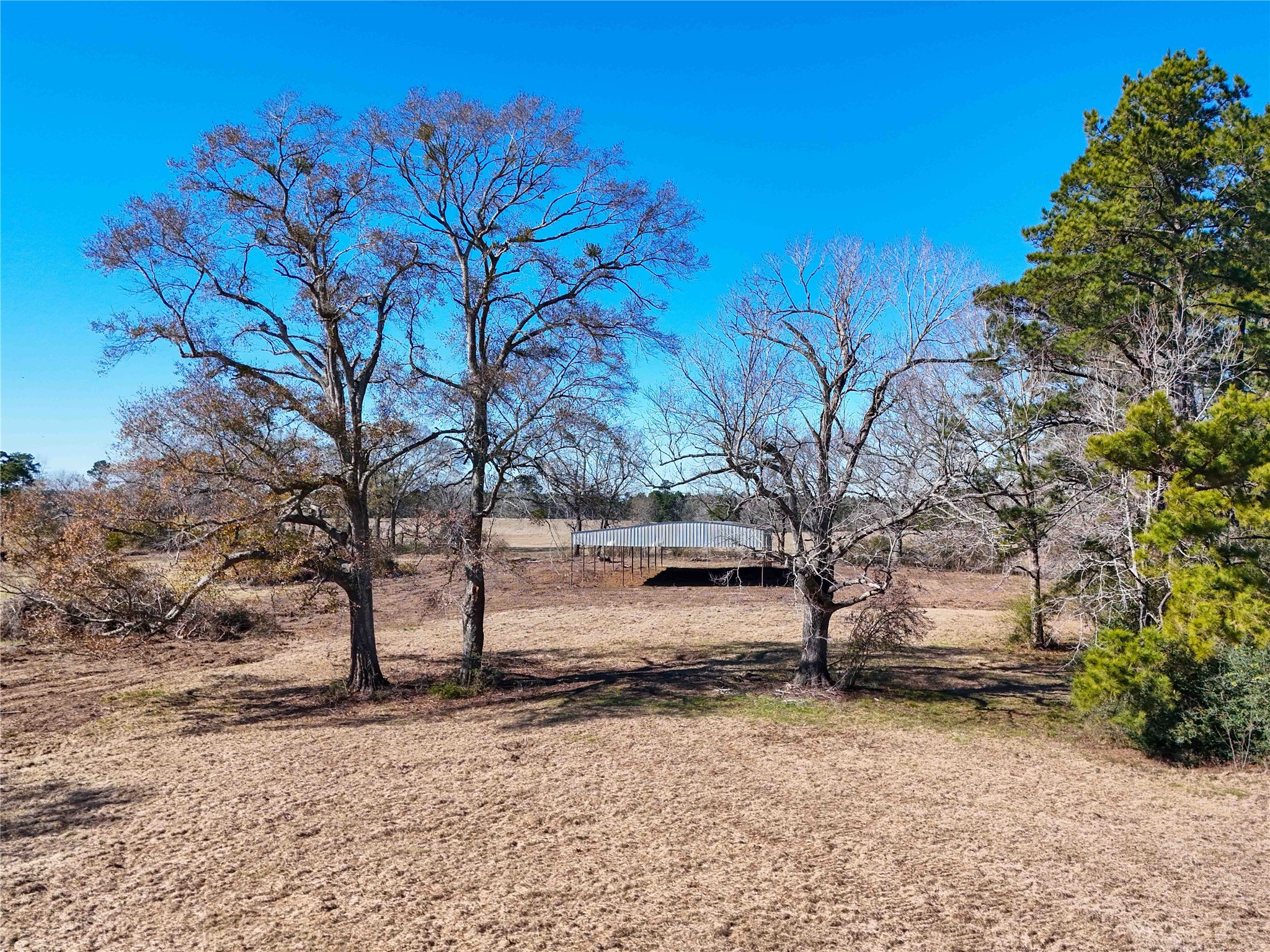 4 County Road 2780 Colmesneil, TX 75938 - Photo 41 of 50 a view of a yard with wooden fence