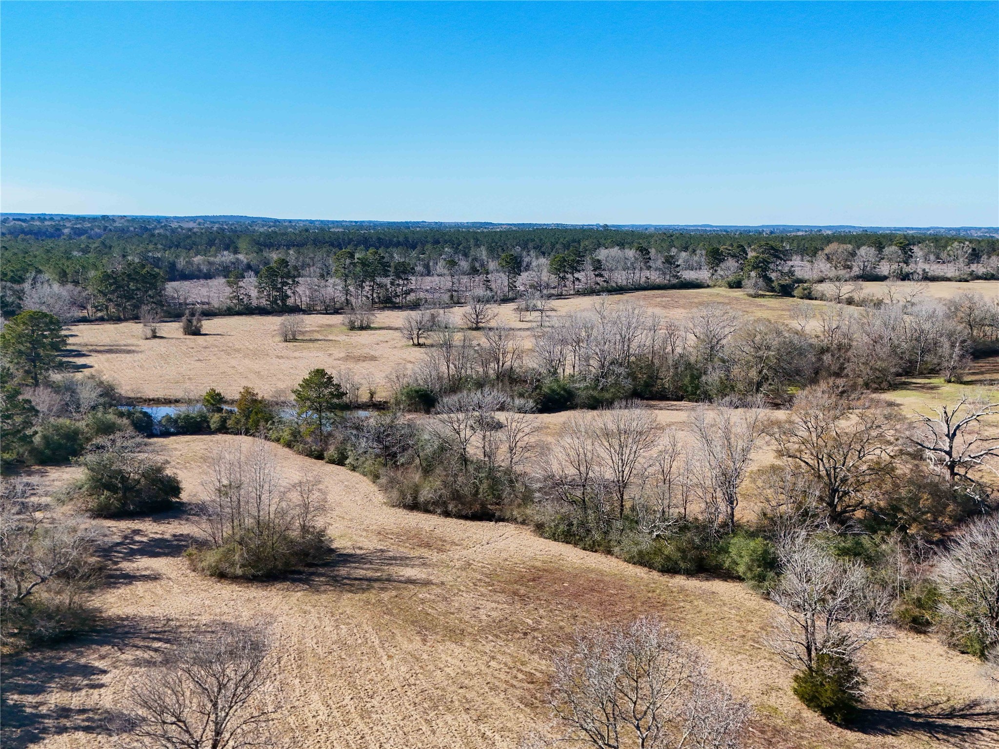 4 County Road 2780 Colmesneil, TX 75938 - Photo 42 of 50 a view of patio and outdoor space