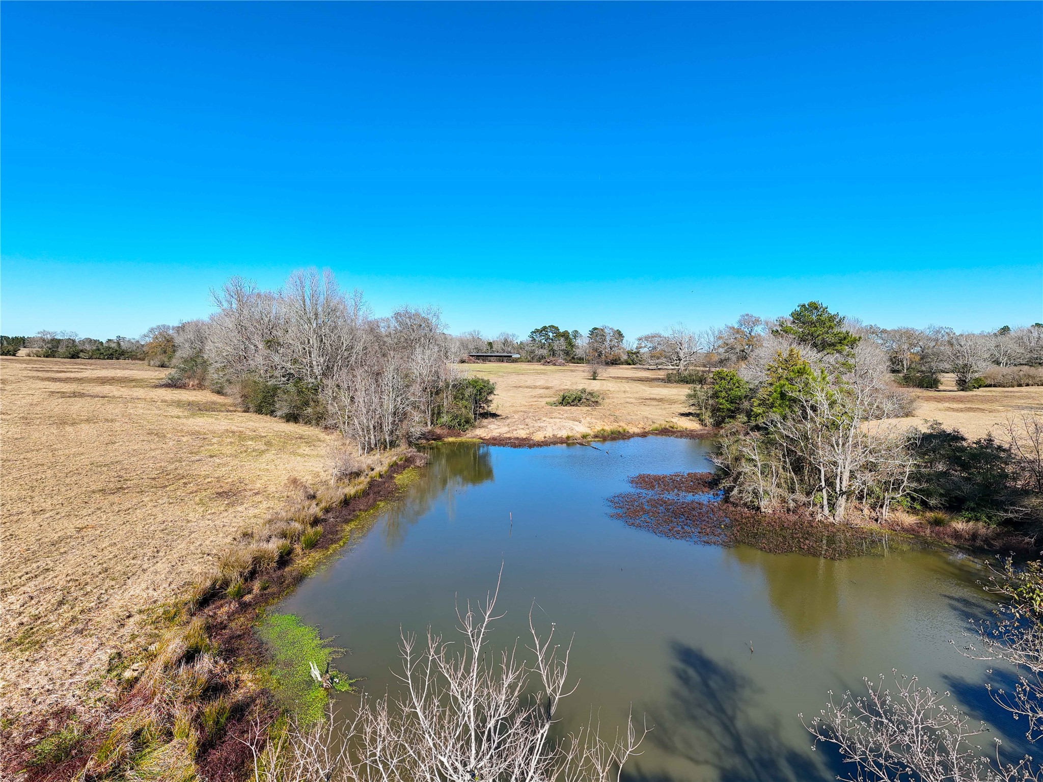 4 County Road 2780 Colmesneil, TX 75938 - Photo 45 of 50 a view of lake view and ocean
