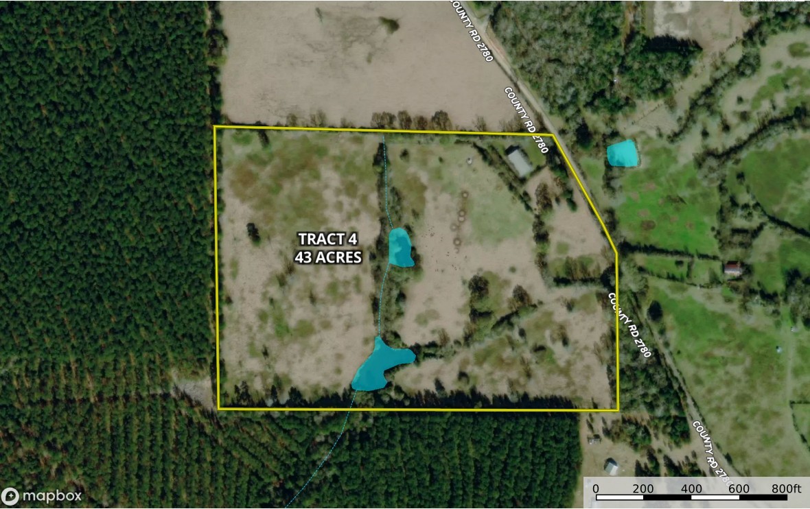 4 County Road 2780 Colmesneil, TX 75938 - Photo 46 of 50 a view of street