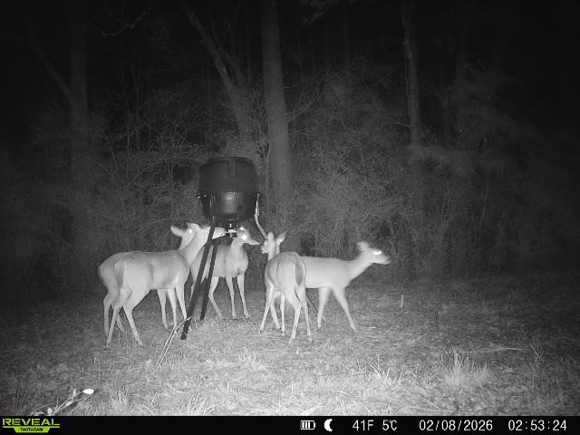4 County Road 2780 Colmesneil, TX 75938 - Photo 50 of 50 a view of a patio with table and chairs with wooden floor