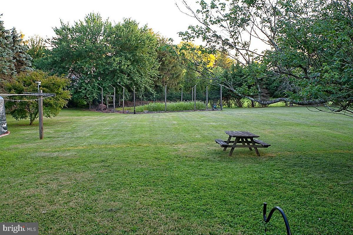 3314 Stump Hall Road Collegeville, PA 19426 - Photo 54 of 55 Do you have dogs? You are set for them to play