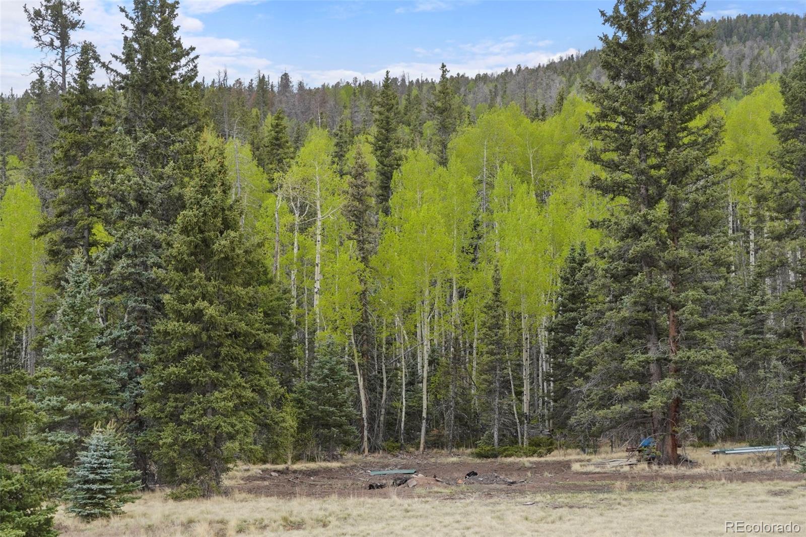 10801 County Road Del Norte, CO 81132 - Photo 43 of 48