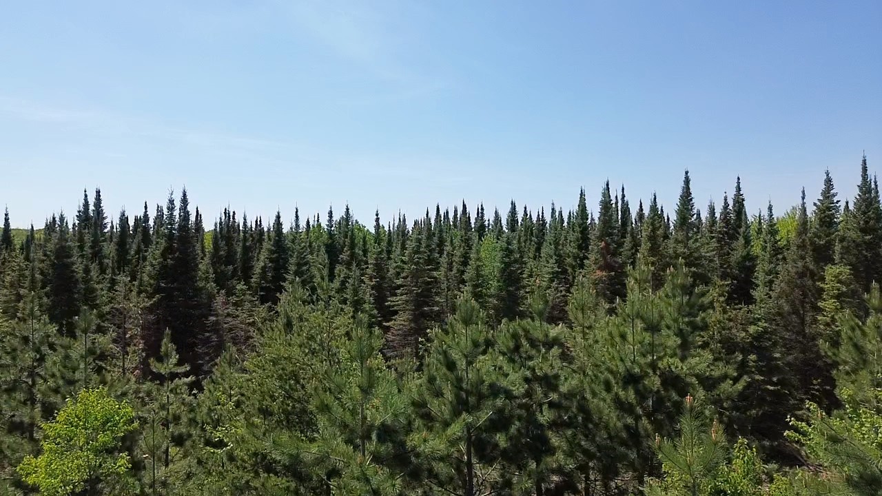 349 X 5th Avenue Shell Lake, WI 54871 - Photo 27 of 37