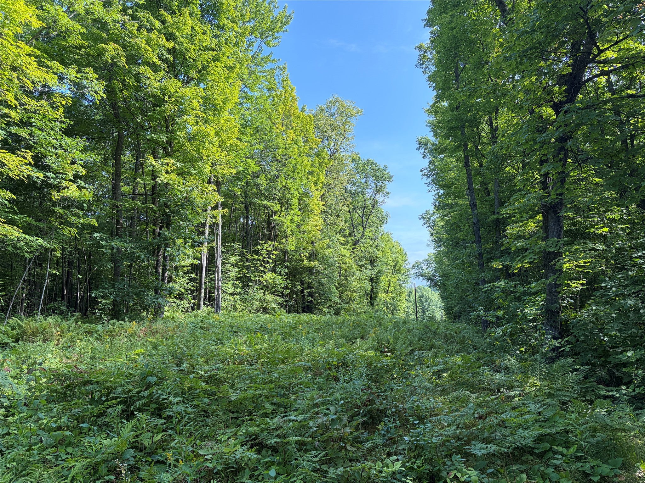 On Strabel Road Stone Lake, WI 54876 - Photo 23 of 28 Gallery Image 23