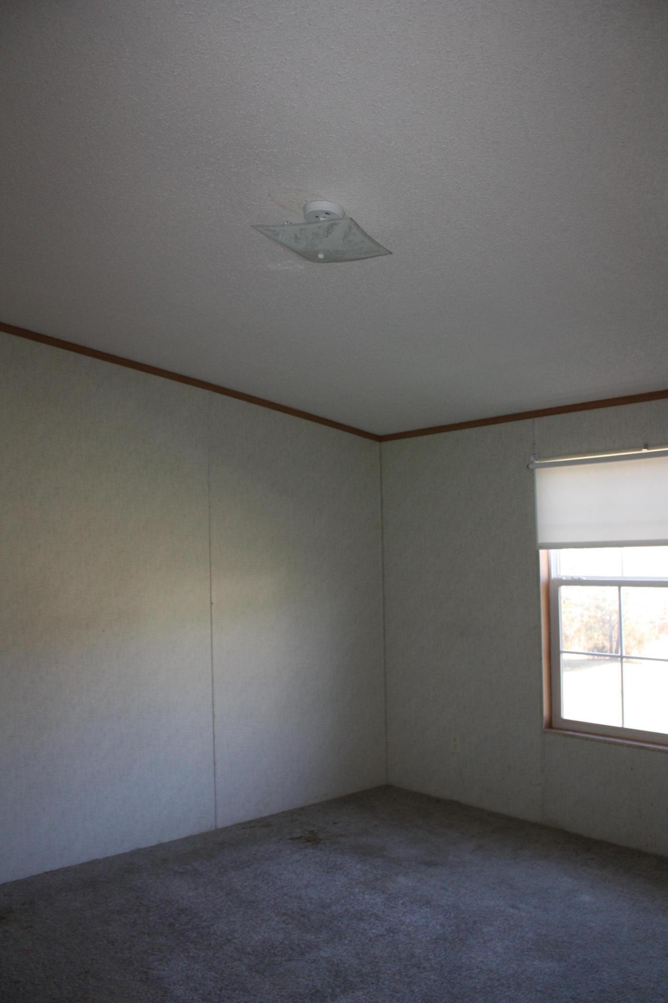 296 Zion Road Cookeville, TN 38501 - Photo 7 of 10 IMG_3707