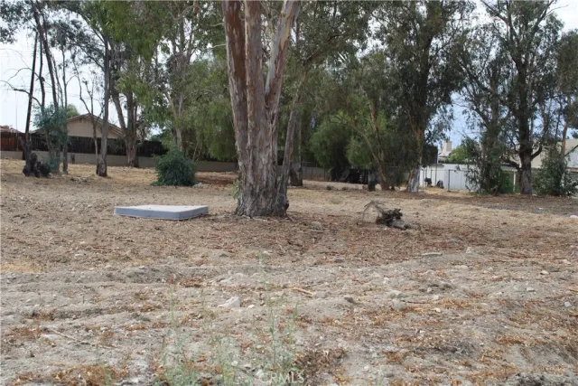 a view of a yard with a tree