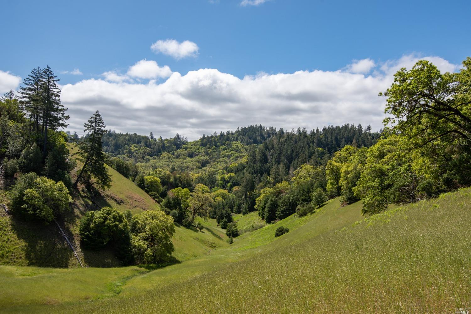 30131 Elkhorn Road Yorkville, CA 95494 - Photo 1 of 22 a view of a lake with a mountain