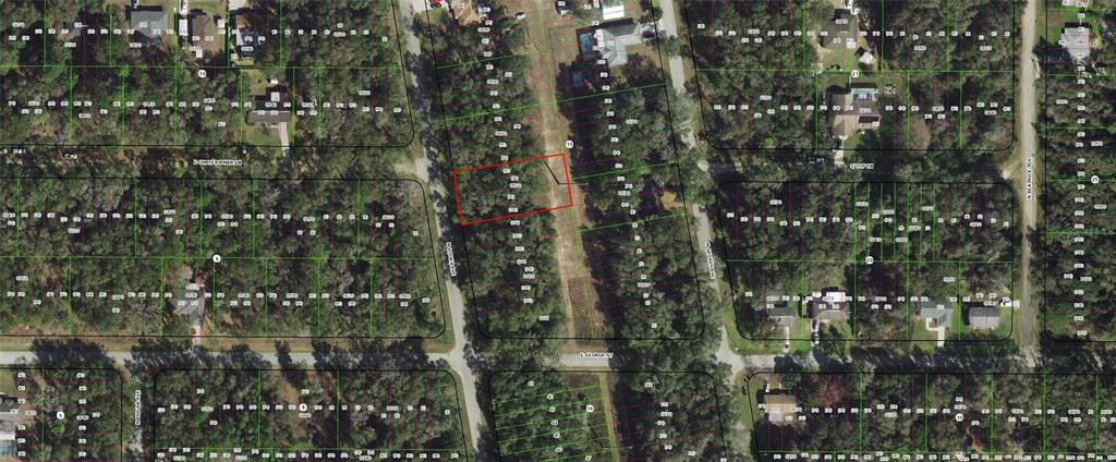 913 North Rooks Avenue Inverness, FL 34453 - Photo 3 of 3
