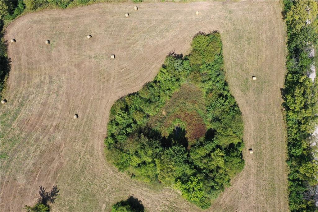 Bundschu Road Independence, MO 64056 - Photo 6 of 6