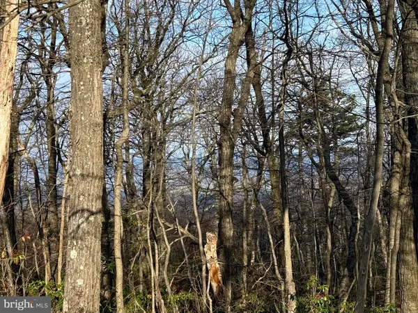 $24,900 | Lot 162 Bobcat Trail, Winchester, VA 22602