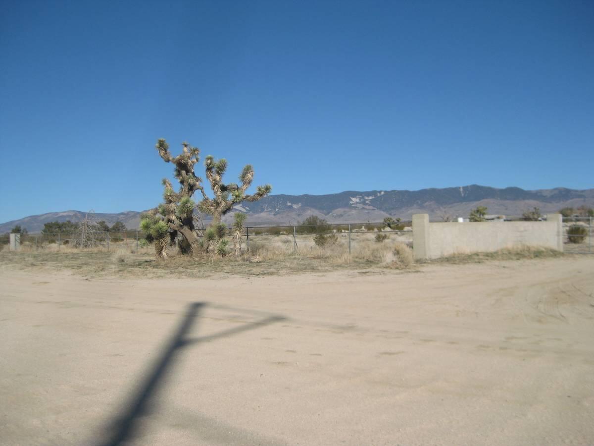 Gaskell Road Rosamond, CA 93560 - Photo 14 of 50 a view of view of ocean and mountain