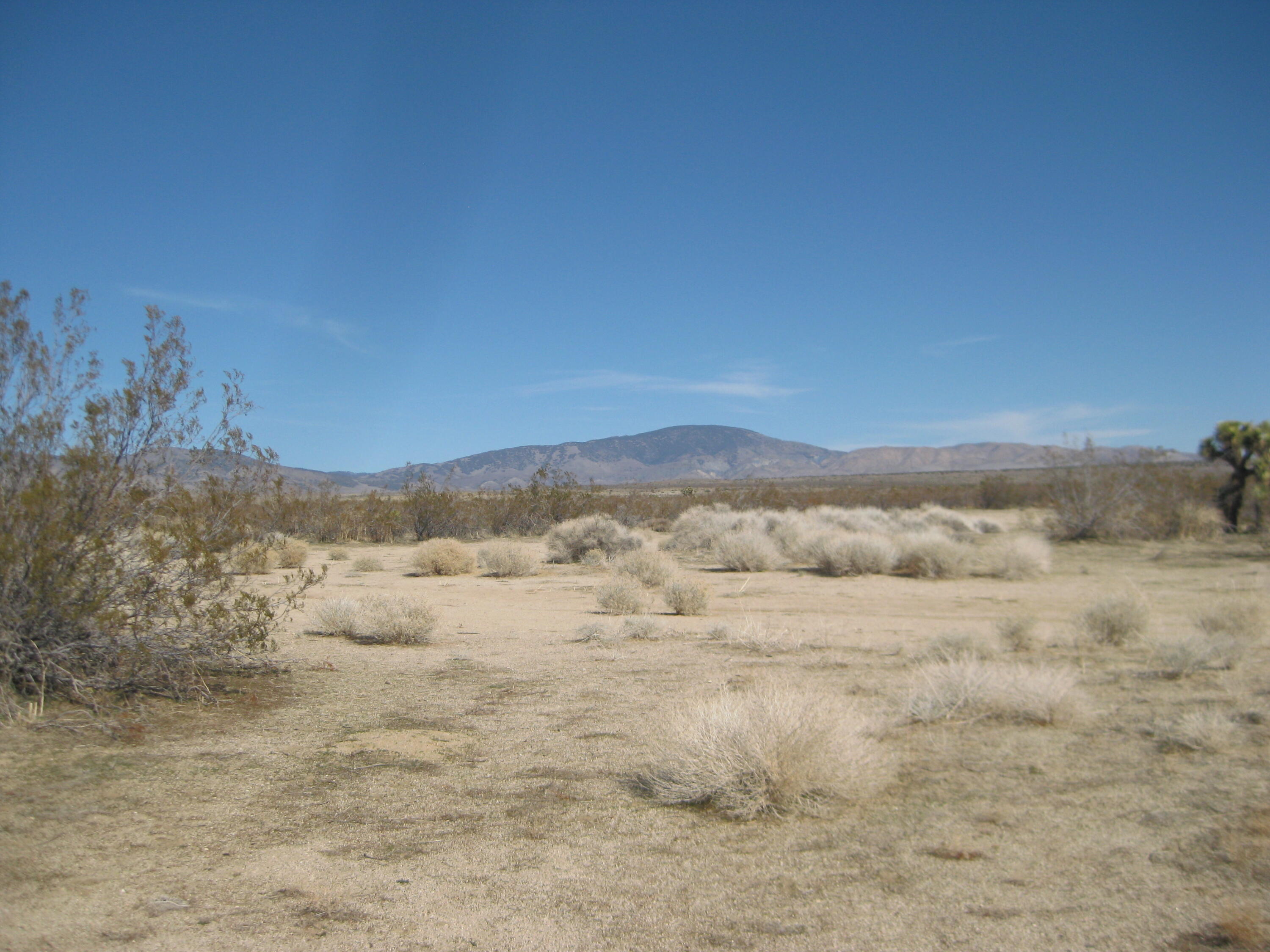 Gaskell Road Rosamond, CA 93560 - Photo 17 of 50 a view of lake view and mountain view
