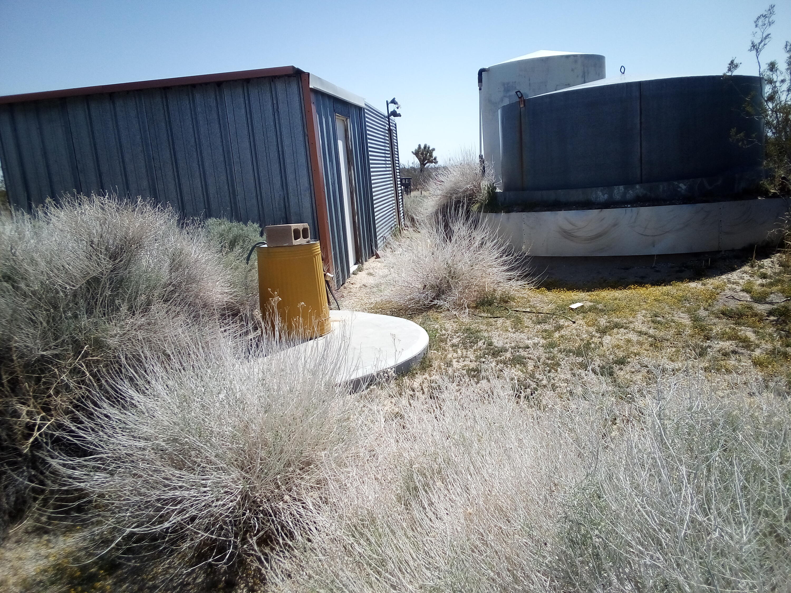 Gaskell Road Rosamond, CA 93560 - Photo 20 of 50 a view of a backyard