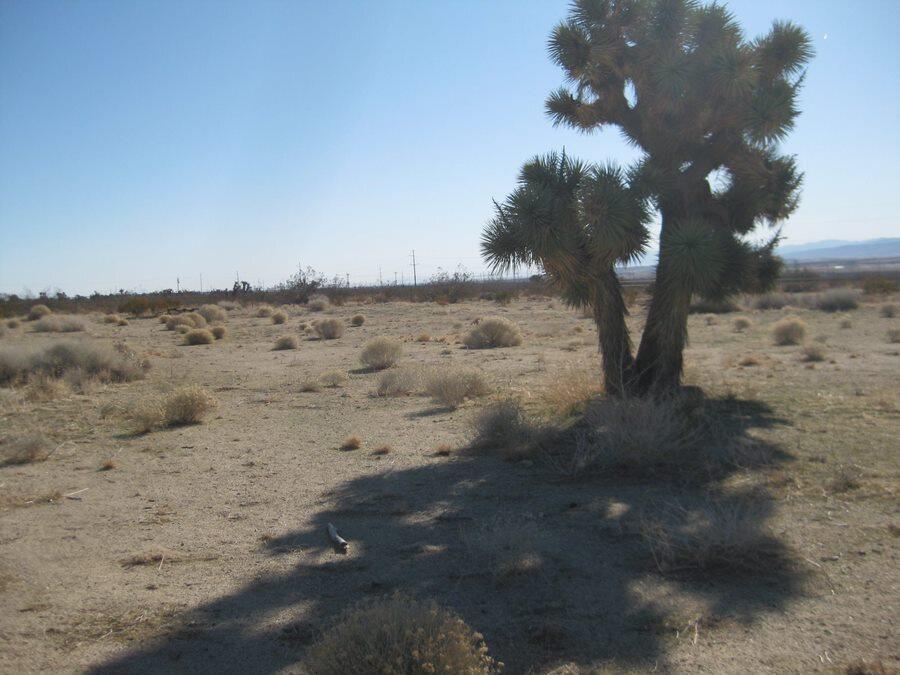 Gaskell Road Rosamond, CA 93560 - Photo 46 of 50