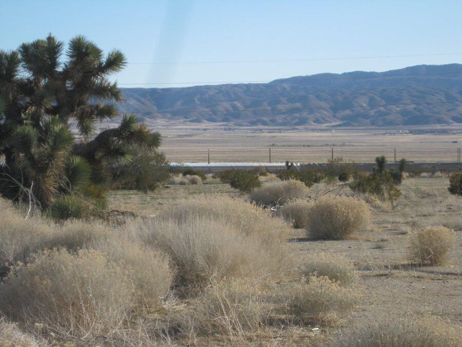 Gaskell Road Rosamond, CA 93560 - Photo 47 of 50 a view of a lake with mountains in the background