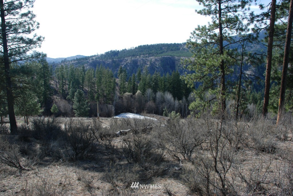 2 B Bear Mountain Road Chelan, WA 98816 - Photo 1 of 11 Gallery Image 1