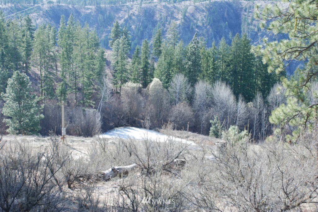 2 B Bear Mountain Road Chelan, WA 98816 - Photo 2 of 11 Gallery Image 2