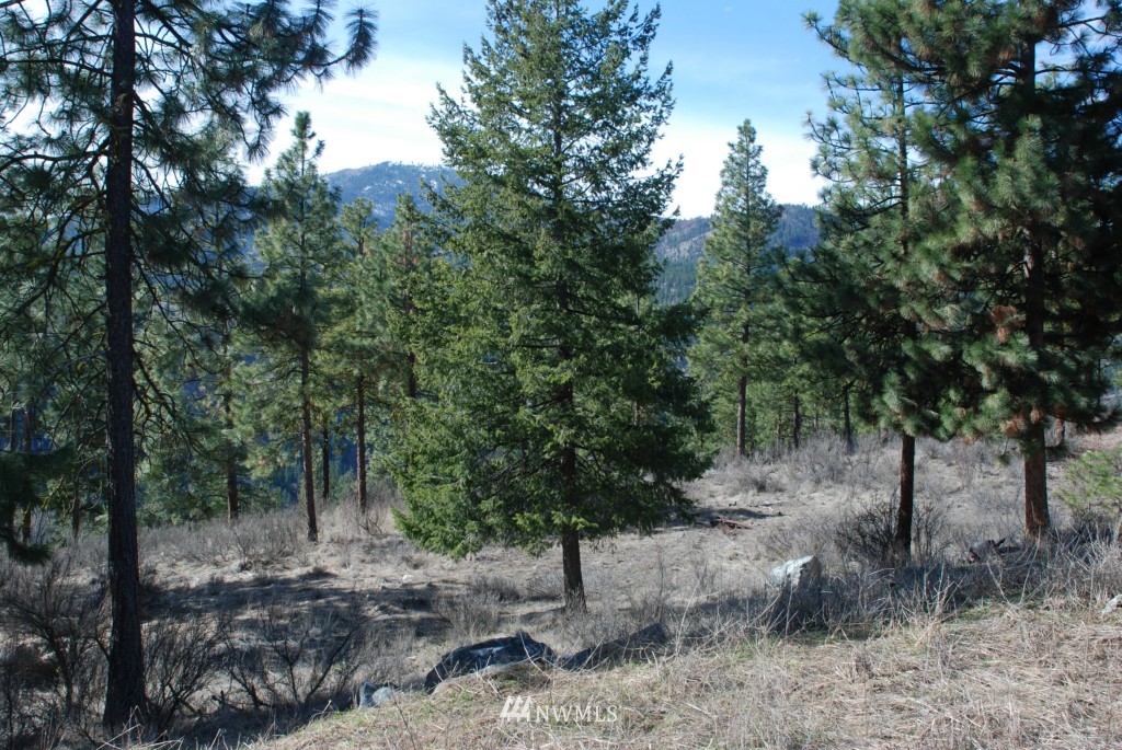 2 B Bear Mountain Road Chelan, WA 98816 - Photo 4 of 11 Gallery Image 4