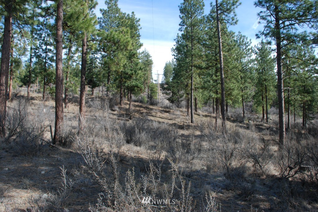 2 B Bear Mountain Road Chelan, WA 98816 - Photo 10 of 11 Gallery Image 10
