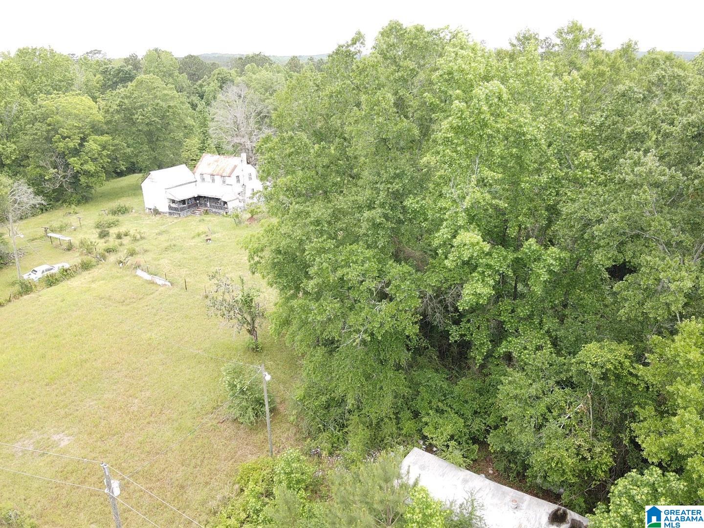 Edna Road, Unit 1 Ward, AL 36922 - Photo 4 of 9