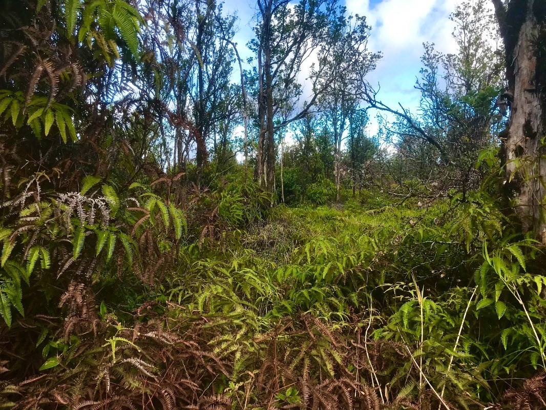 11-3273 Mailenani Road Mountain View, HI 96771 - Photo 3 of 5 Gallery Image 3