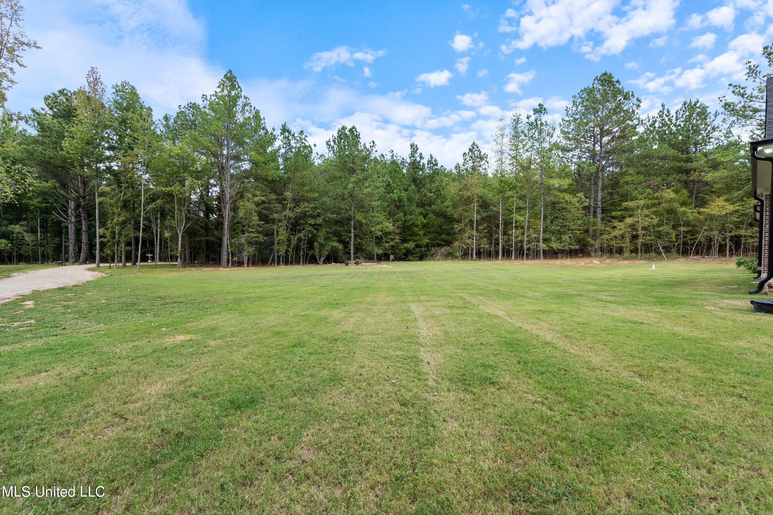 6980 Vaiden Road Hernando, MS 38632 - Photo 50 of 67 50-DSC2915