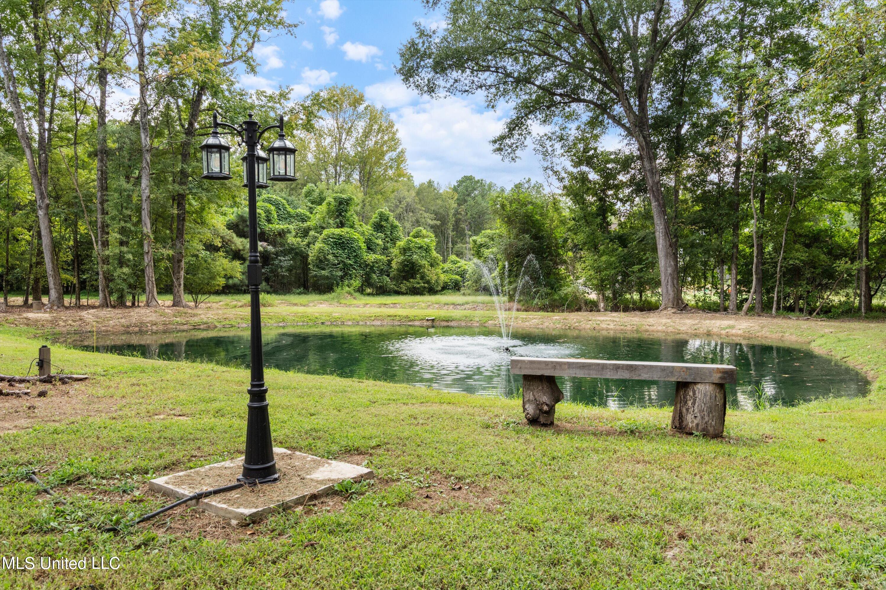 6980 Vaiden Road Hernando, MS 38632 - Photo 54 of 67 54-DSC2950