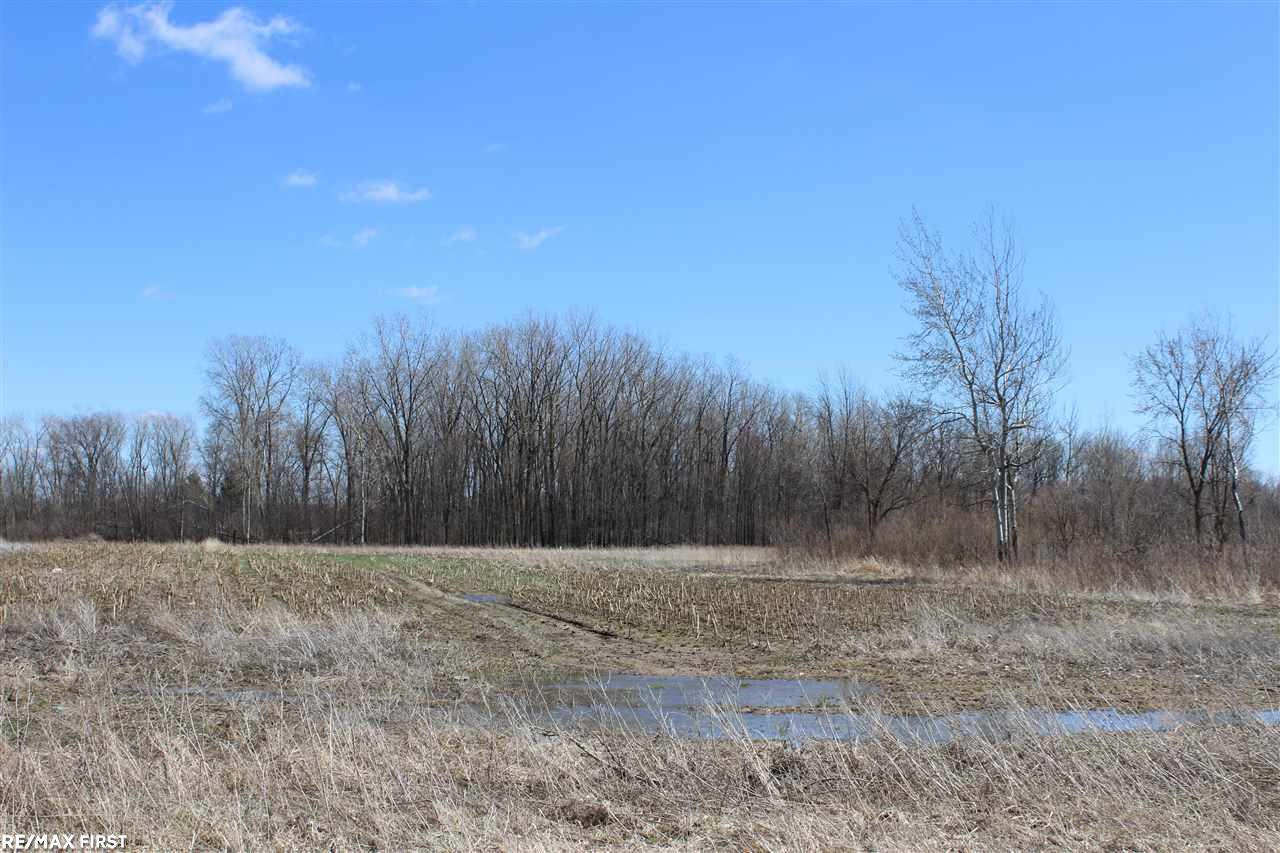 0 Connell Road Yale, MI 48097 - Photo 5 of 22