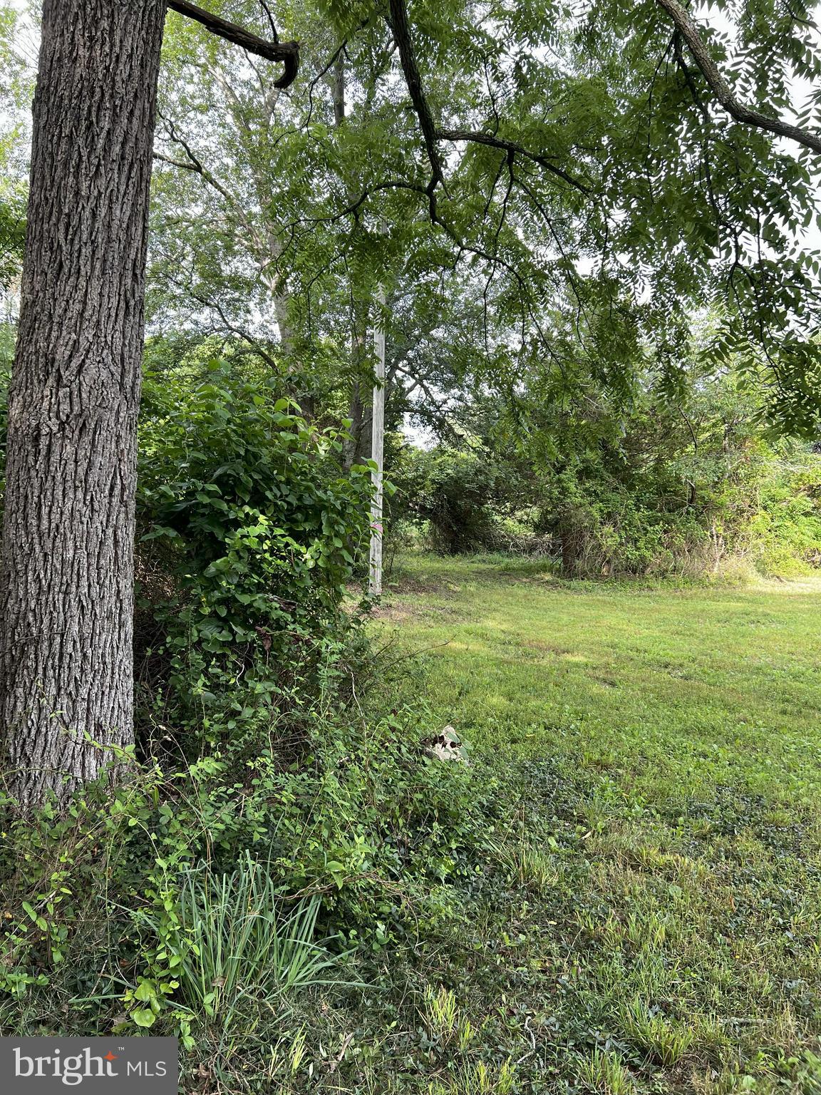 3296 Cedarville Road Millville, NJ 08332 - Photo 4 of 8