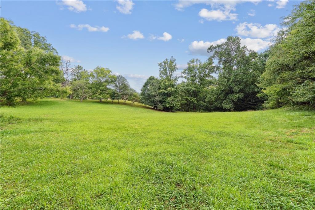 0 Cox Road Roswell, GA 30075 - Photo 2 of 11 a view of a green yard and a trees