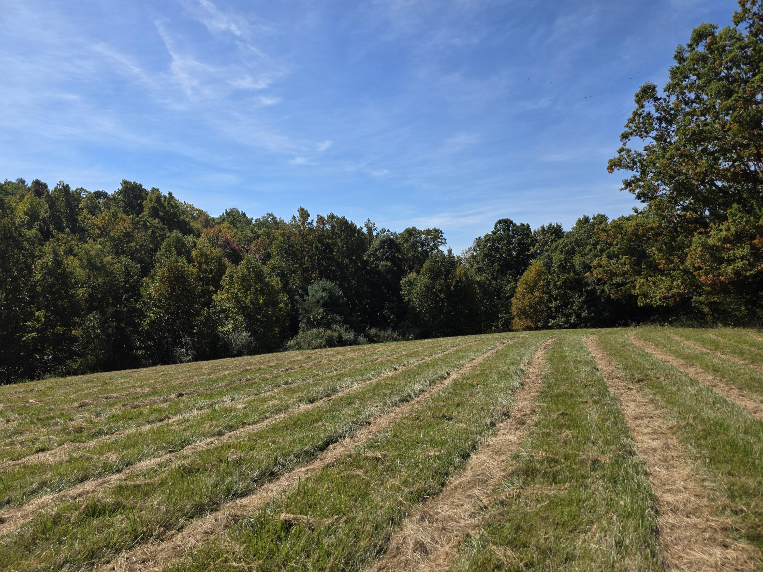Tbd Ridge Road Northeast Pilot, VA 24138 - Photo 2 of 25 20261002_122215