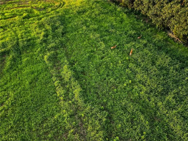 $1,085,000 | 610 South Hwy EE, El Dorado Springs, MO 64744