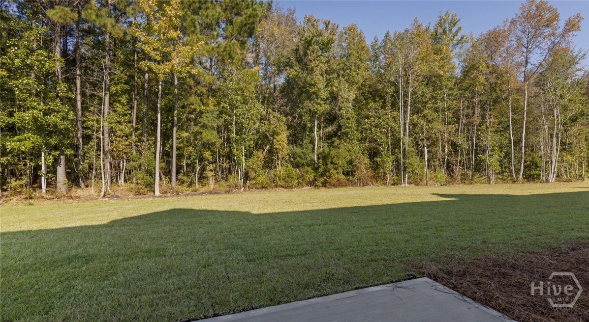 105 Creekside Boulevard, Unit ROSE DHU Guyton, GA 31312 - Photo 20 of 24