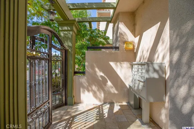 a view of a park with large trees
