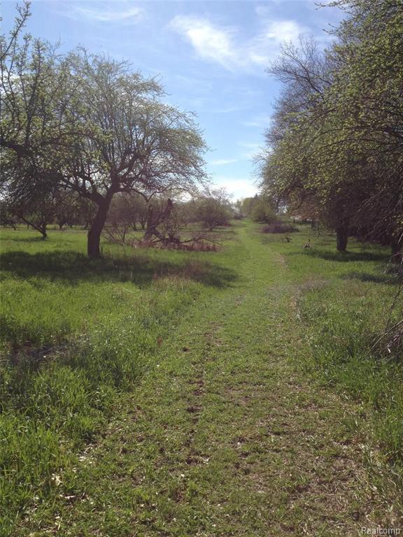 0 Dequindre Road Washington, MI 48095 - Photo 3 of 5