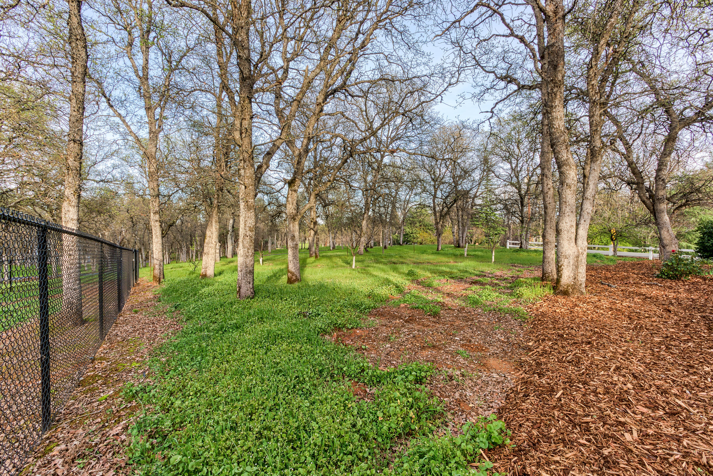 15756 Montgomery Ranch Road Redding, CA 96001 - Photo 54 of 69 _MGL0616