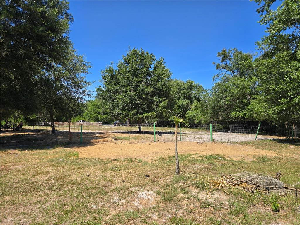 27137 Miller Road Dade City, FL 33525 - Photo 21 of 29 Gallery Image 21