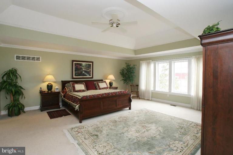 5329 Brooks Woods Road Lothian, MD 20711 - Photo 26 of 30 Master Bedroom with tray ceiling and ceiling fan.
