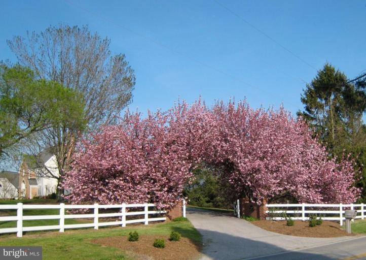 5329 Brooks Woods Road Lothian, MD 20711 - Photo 4 of 30 Gated and lighted entry w/cherry blossom arch.