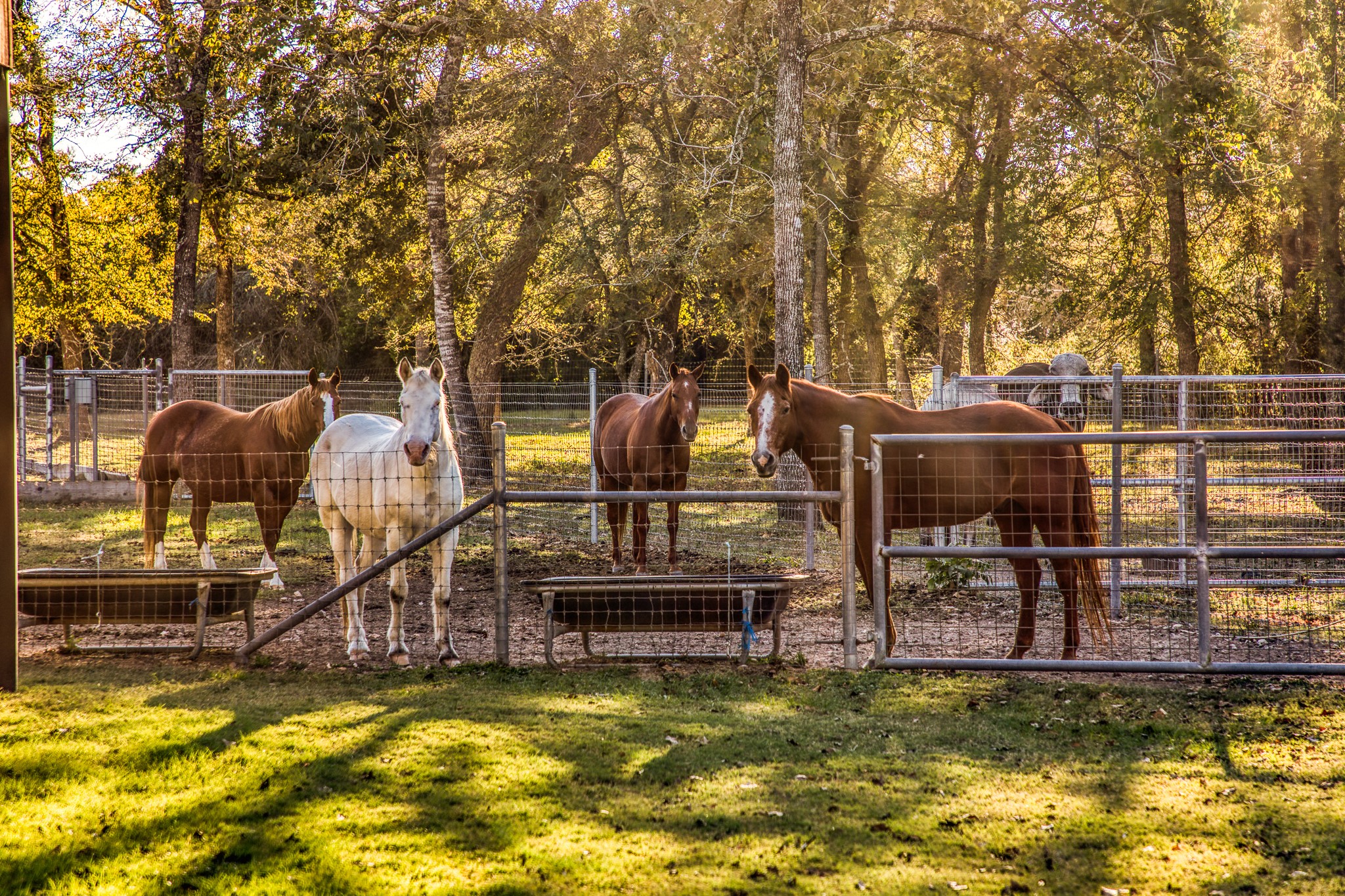 39761 Mesquite Hempstead, TX 77445 - Photo 20 of 46