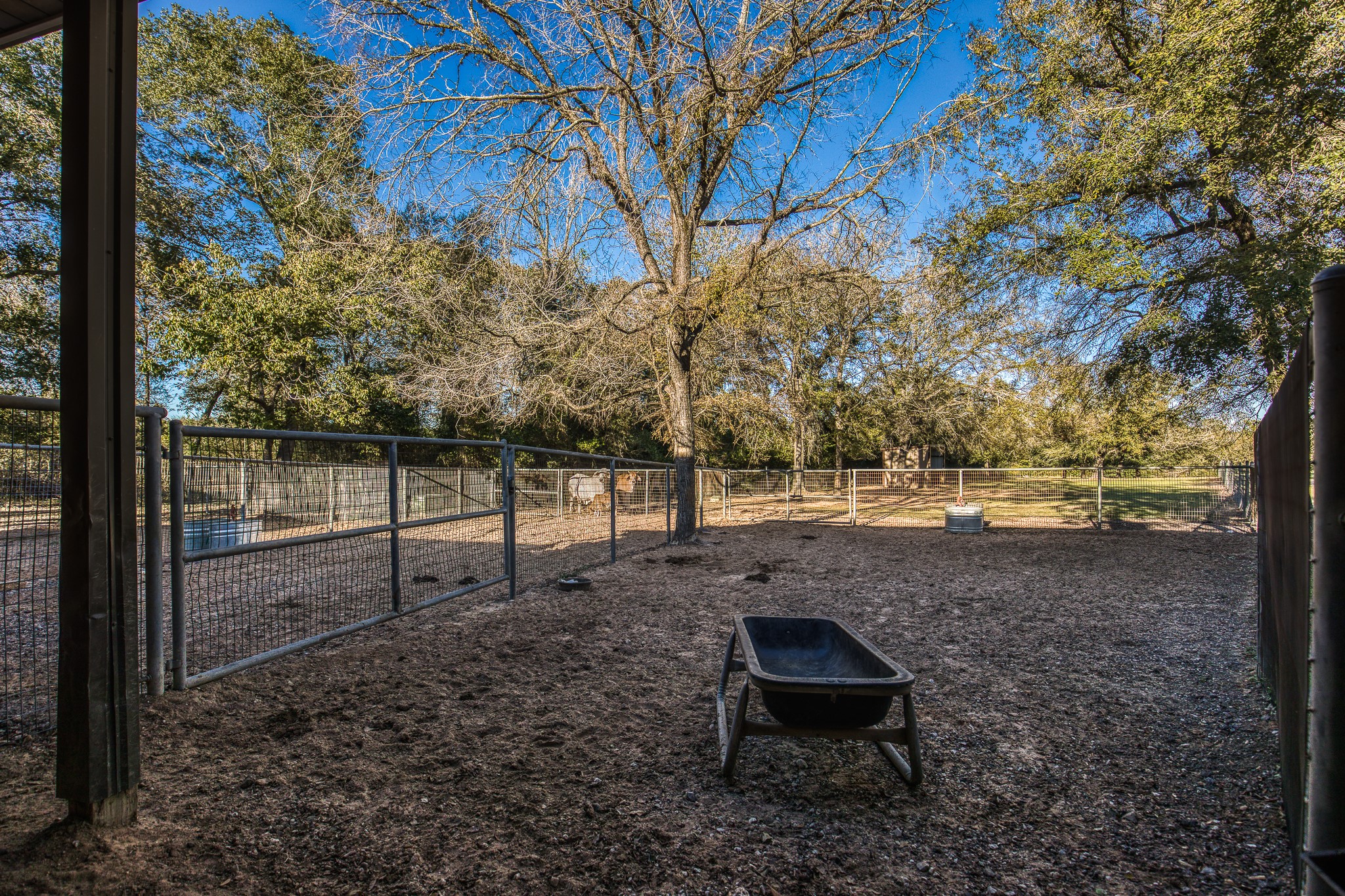 39761 Mesquite Hempstead, TX 77445 - Photo 26 of 46