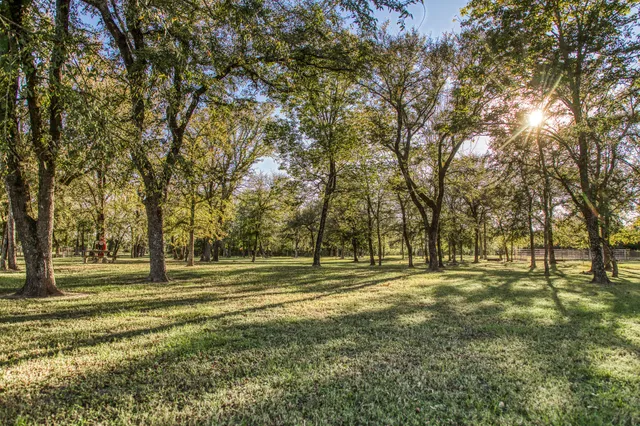 a view of a field with trees in the background