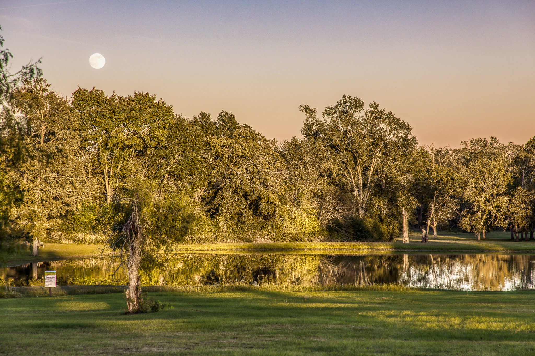 39761 Mesquite Hempstead, TX 77445 - Photo 41 of 46