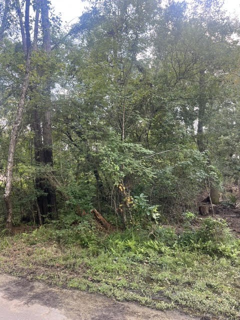 13181 Royal Springs Road Conroe, TX 77303 - Photo 2 of 10 a view of a forest with a tree