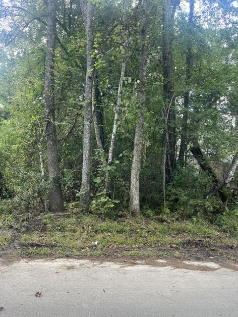 13181 Royal Springs Road Conroe, TX 77303 - Photo 7 of 10 a view of outdoor space and green space