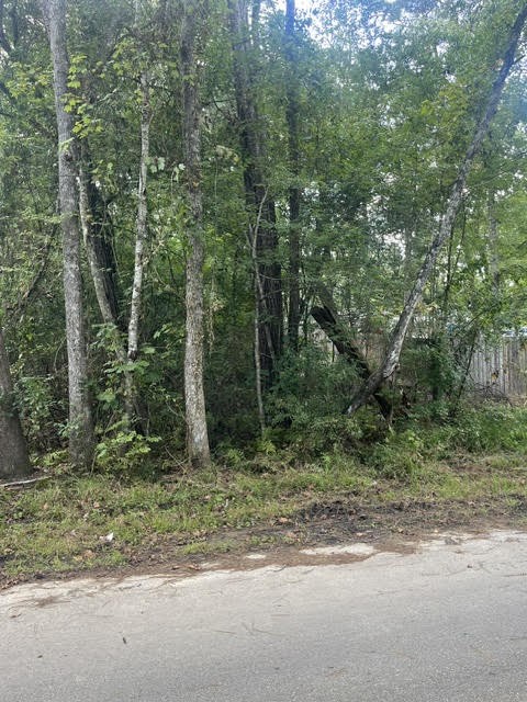 13181 Royal Springs Road Conroe, TX 77303 - Photo 8 of 10 a view of a forest